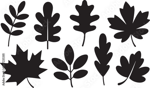 Autumn Leaves Silhouettes Set Black Vector Collection Maple Oak Botanical Icons, black and white silhouette, vector and illustration	