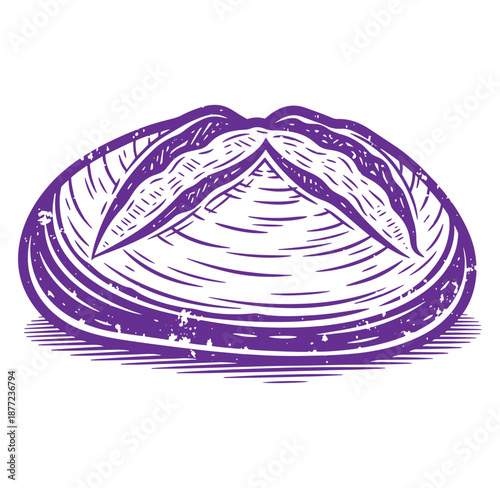 Purple illustration of an open clam shell on white background  sea creature