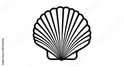 A striking black and white illustration of a seashell s ribbed form a beautiful silhouette