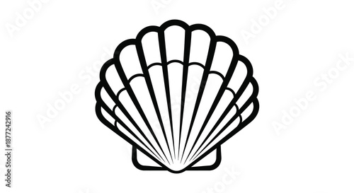 A striking black and white illustration of a seashell s detailed ridges and curves silhouette