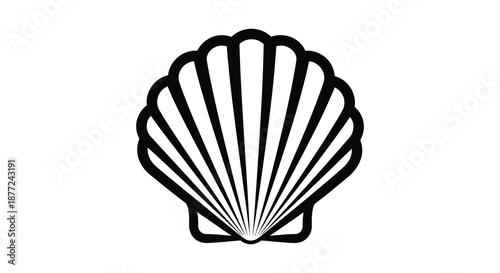 A striking black and white depiction of a seashell s detailed ridges a beautiful silhouette