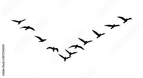 A flock of birds in flight forming a dynamic diagonal pattern a striking silhouette