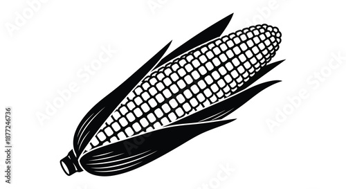 A striking black and white illustration of a corn cob with detailed husk a beautiful silhouette
