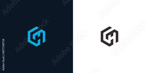Fotografía Geometric emblem showcases dual color palettes