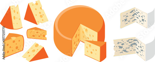 Assorted cheese collection featuring whole wheels, wedges, Swiss cheese slices, and blue cheese varieties in detailed vector style