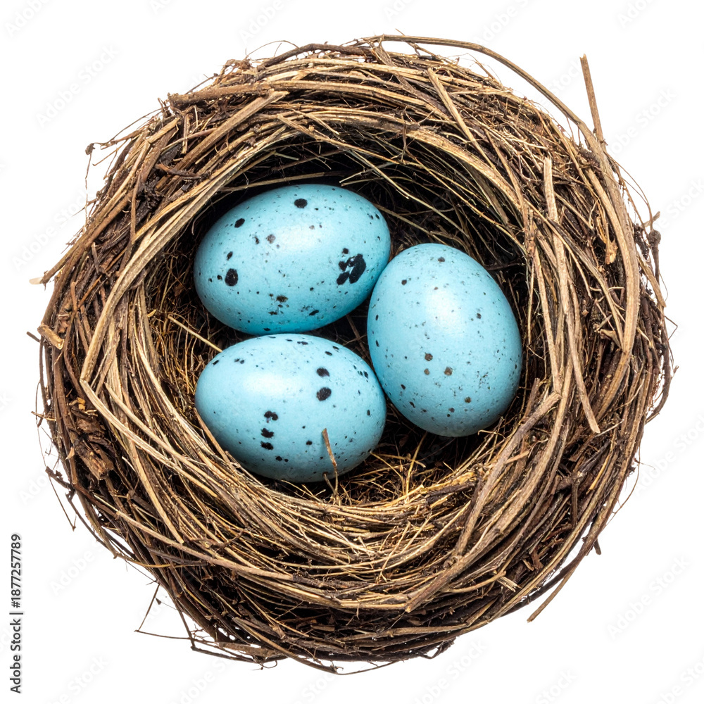 Obraz premium A closeup of brown quail eggs nestled in a golden straw nest creates a natural spring holiday decoration symbolizing birth and new life for an Easter celebration concept