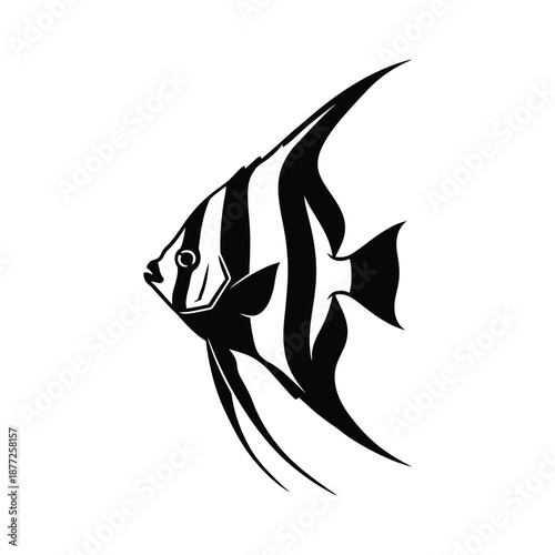 Black and White Angelfish Silhouette aquatic