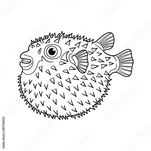 Outline illustration of a pufferfish on a white background