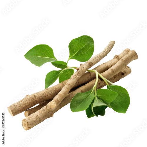 Fresh ashwagandha roots and leaves herbal remedy still life composition isolated on white background