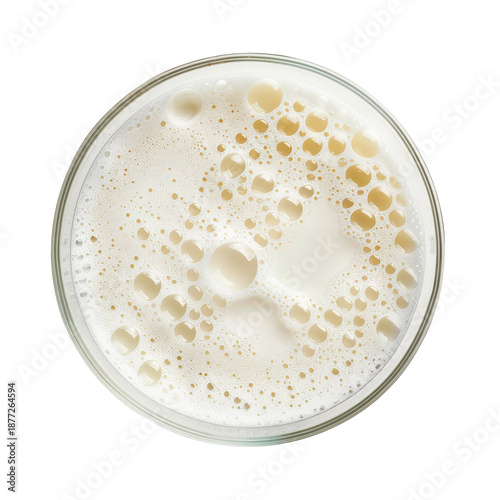 Frothy beer head golden bubbles and creamy foam in a glass from above isolated on white background