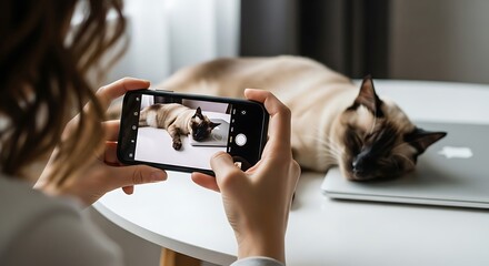 Person photographing a sleeping cat on a laptop with a smartphone.