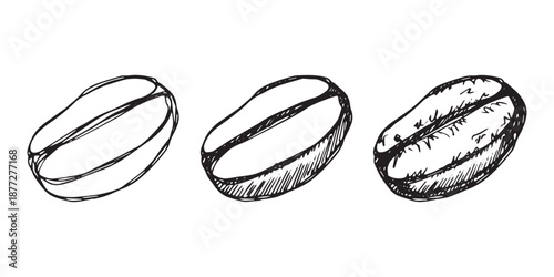 Set of hand drawn fresh roasted coffee bean Arabica robusta seed doodle Single element for design print packaging label decor