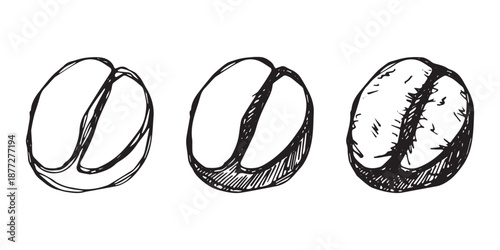 Set of hand drawn fresh roasted coffee bean Arabica robusta seed doodle Single element for design print packaging label decor