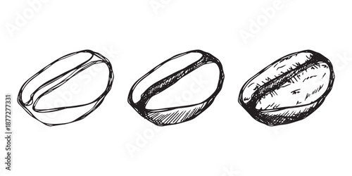 Set of hand drawn fresh roasted coffee bean Arabica robusta seed doodle Single element for design print packaging label decor