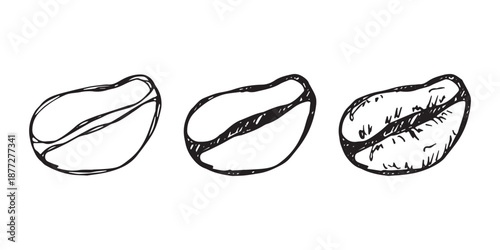 Set of hand drawn fresh roasted coffee bean Arabica robusta seed doodle Single element for design print packaging label decor