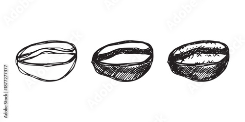 Set of hand drawn fresh roasted coffee bean Arabica robusta seed doodle Single element for design print packaging label decor