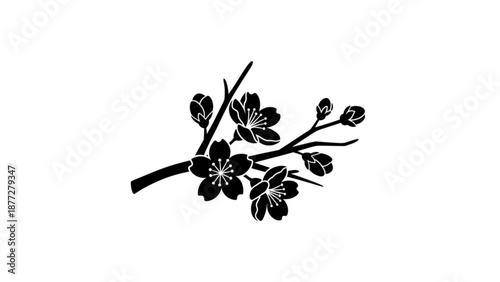 Black silhouette cherry blossoms on branch with leaves