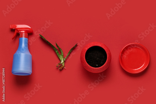 Ceramic flower pot with soi...