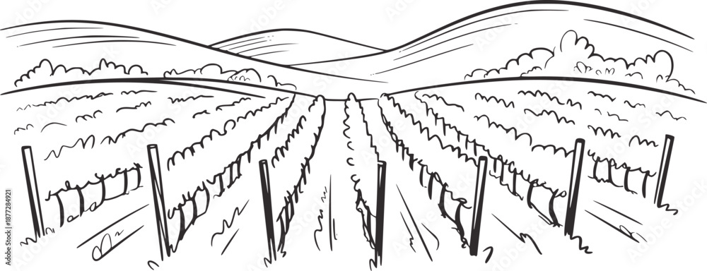 Fototapeta premium Black and of rolling vineyard landscape with distant hills nature rural