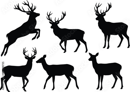 Deer silhouettes set with stag, doe and antlers in multiple poses, wildlife forest animals illustration for hunting, nature, outdoor branding and design projects