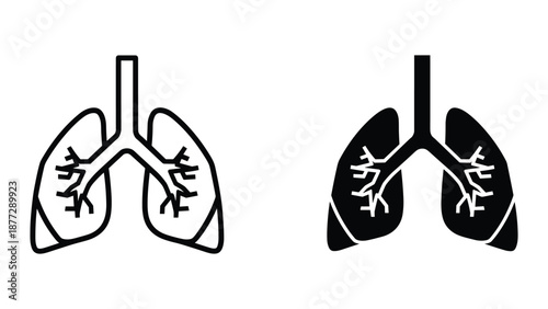 Human lungs anatomy illustration