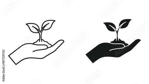 Hand holding small plant in palm