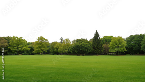 Vast Green Meadow with Lush Forest Background