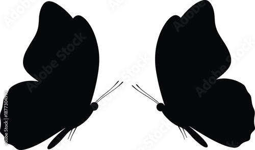 Black butterfly silhouettes facing each other, symmetrical insect wings illustration, minimalist nature symbol, decorative vector design, abstract elegance, isolated 