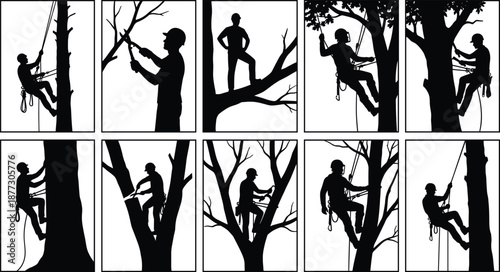 Set of arborist and tree climber silhouettes performing pruning and rope work, professional forestry workers in various climbing positions isolated on white background