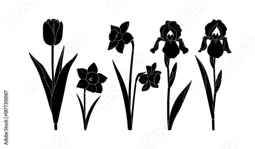 Decorative spring flower border with black tulip narcissus and iris silhouettes vector