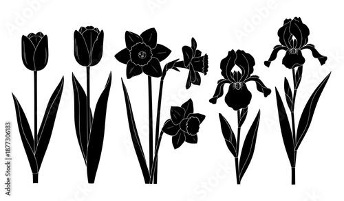 Black silhouette spring flowers vector with tulips narcissus and iris isolated on white background