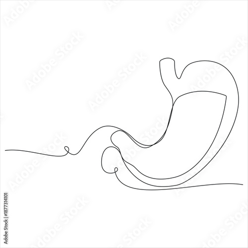 One continuous line drawing of stomach organ human gastrointestinal line art vector illustration