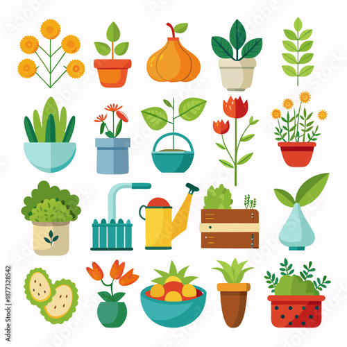 Collection of assorted house plants, gardening tools, and fruits