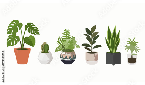 Vector illustration of tropical houseplants in decorative pots with modern clean design on white background