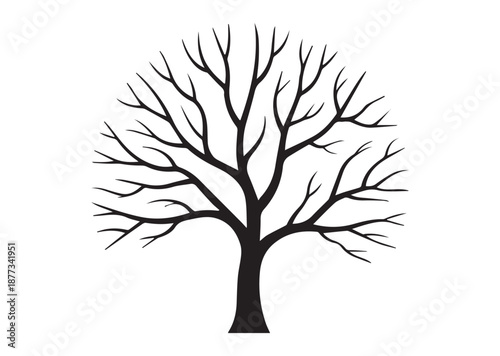 Winter Tree icon, Winter Tree solid vector