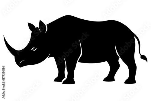 rhino on white background