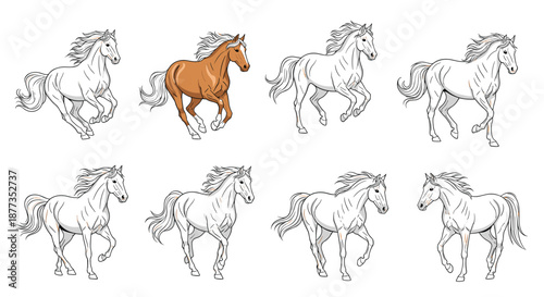 Set of running and trotting horses with one colored brown and the others in a black and white line art or coloring book style.