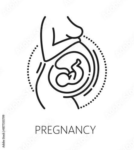 Pregnancy and gynecology medicine line icon or pictogram. Gynecology health and fertility thin line sign, reproductive medicine vector icon. Pregnancy health symbol with fetal in womb