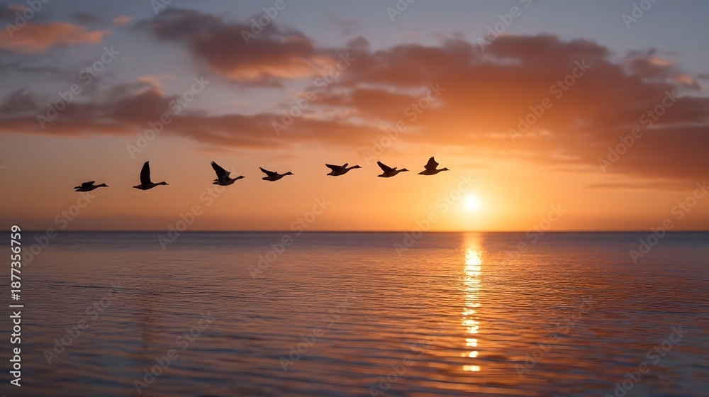Fototapeta premium A flock of birds flying in formation over the ocean at sunset