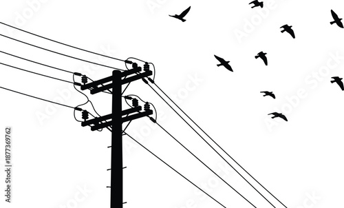 Electric power line pole with flying birds silhouette, black and white utility infrastructure vector, minimal nature and technology concept illustration
