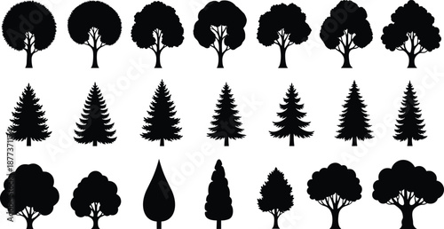 Tree silhouette collection with deciduous and evergreen forest shapes, black nature icons set, botanical woodland design, vector illustration, isolated on white