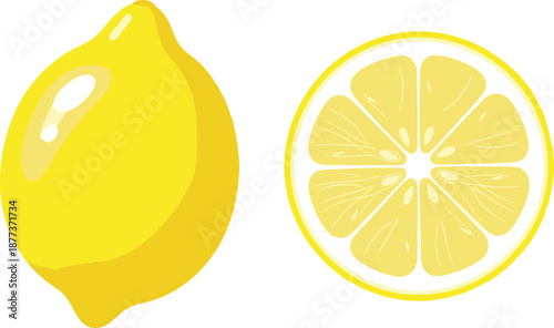 Whole yellow lemon and sliced citrus illustration, fresh fruit vector design for healthy food, vitamin C, juice, and organic nutrition