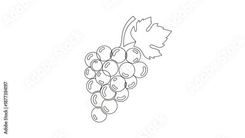 Minimalist grape cluster artwork for design projects and presentations illustration