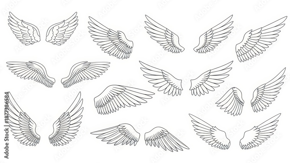 Fototapeta premium Assorted line drawing vector wings in various spread positions creating a diverse array of angelic