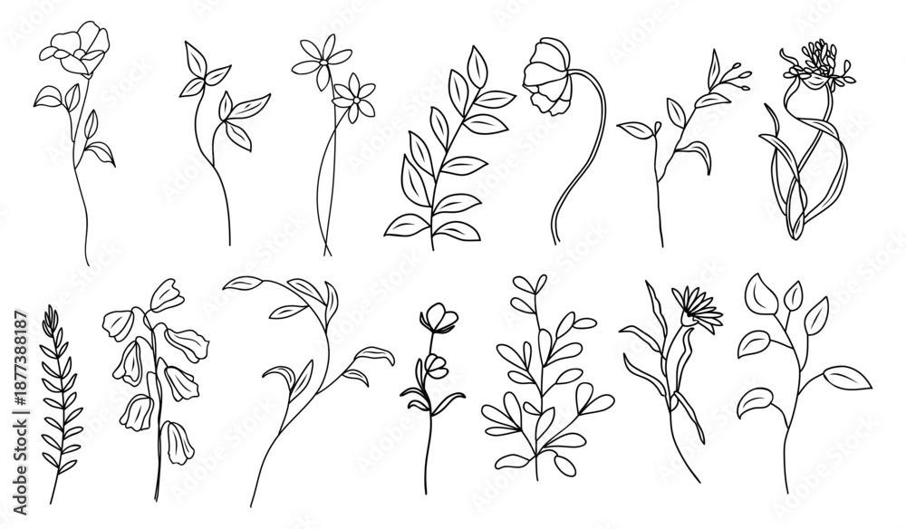 Naklejka premium Minimalist black line vector illustration of hand drawn meadow flowers and leaves, clean botanical elements arranged as a decorative floral set on transparent background.