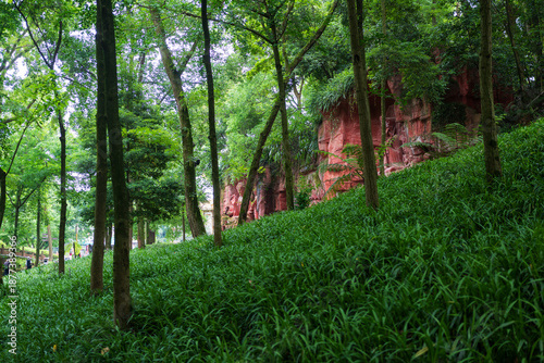 Forest Path with Red Rock Cliff in a Lush Green Landscape in China