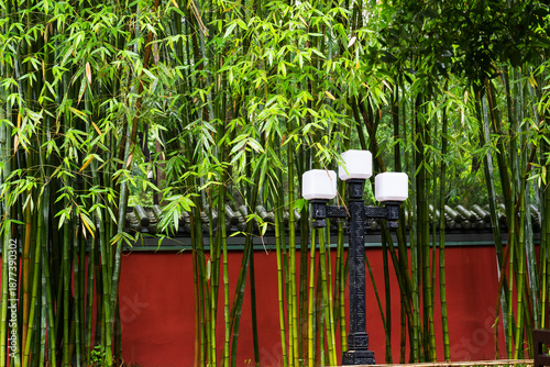 Bamboo Grove and Traditional Garden Lantern in an Asian Courtyard