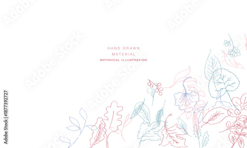 線画。線画タッチの植物イラスト。夏と春に使える植物ベクターフレーム。
Line art. Botanical illustration with a line drawing touch. Botanical vector frame that can be used in summer and spring.