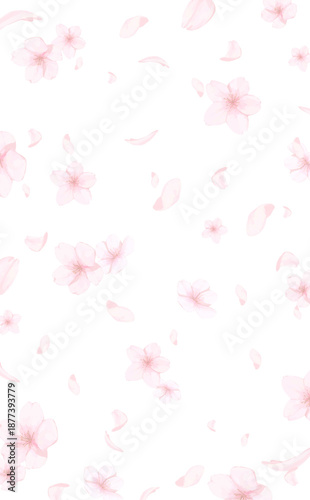 手描きの桜の水彩風背景_背景透過_縦