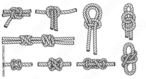 Illustrations of various knots and their formations Vector